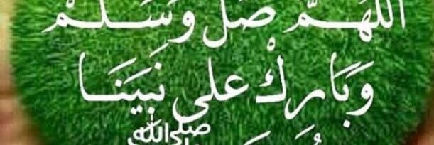 em2014ansh banner