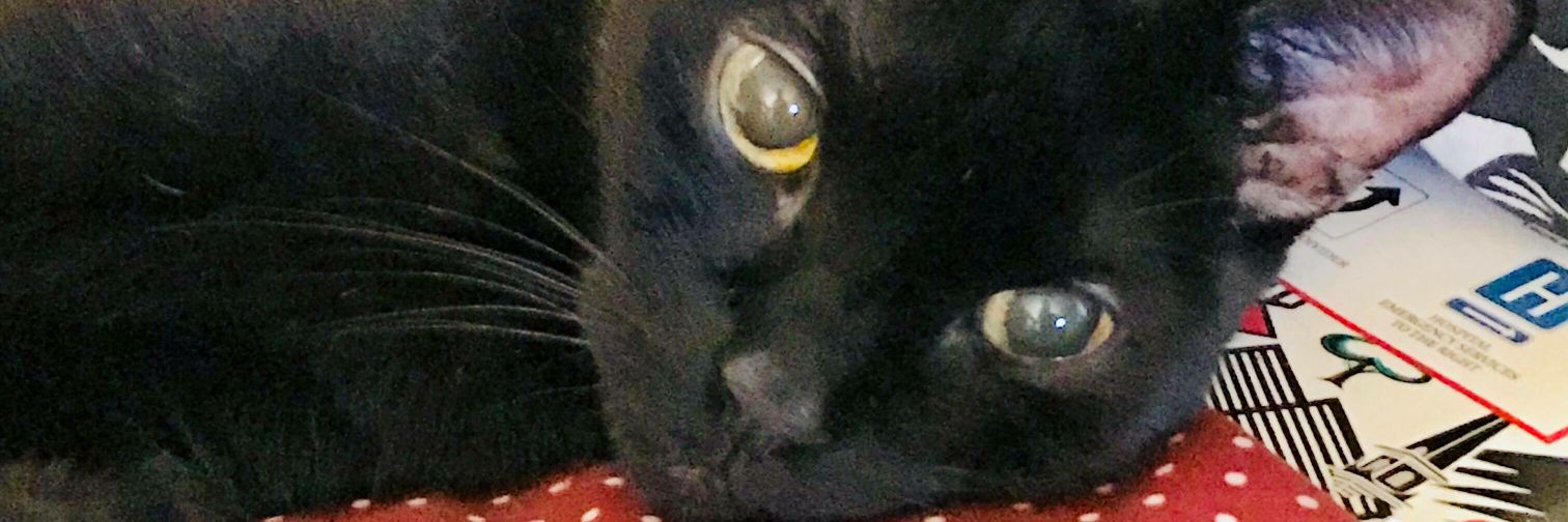 Ang is trying to tweet more is it working AAAAAAAA banner