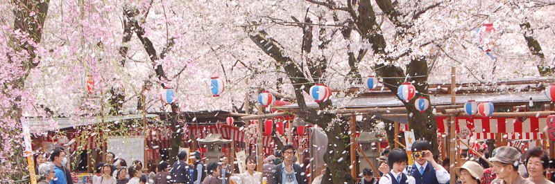 Goin’ Japanesque! banner