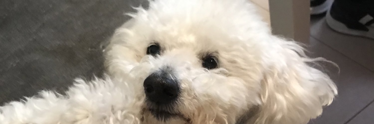 L u c e R o . . . ! banner