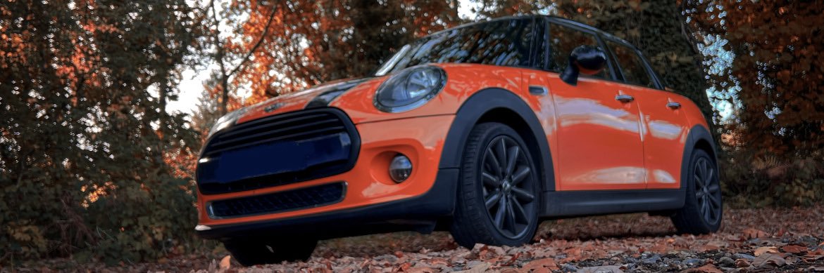 ThatOrangeMini_'s profile banner image