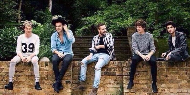 harry styles banner