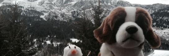 albertactionski's profile banner image