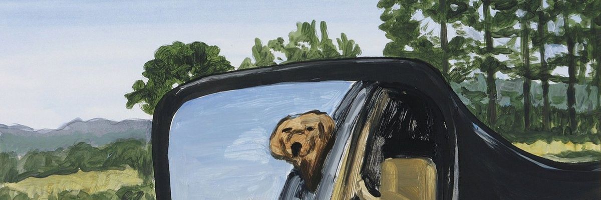arturo_ld's profile banner image