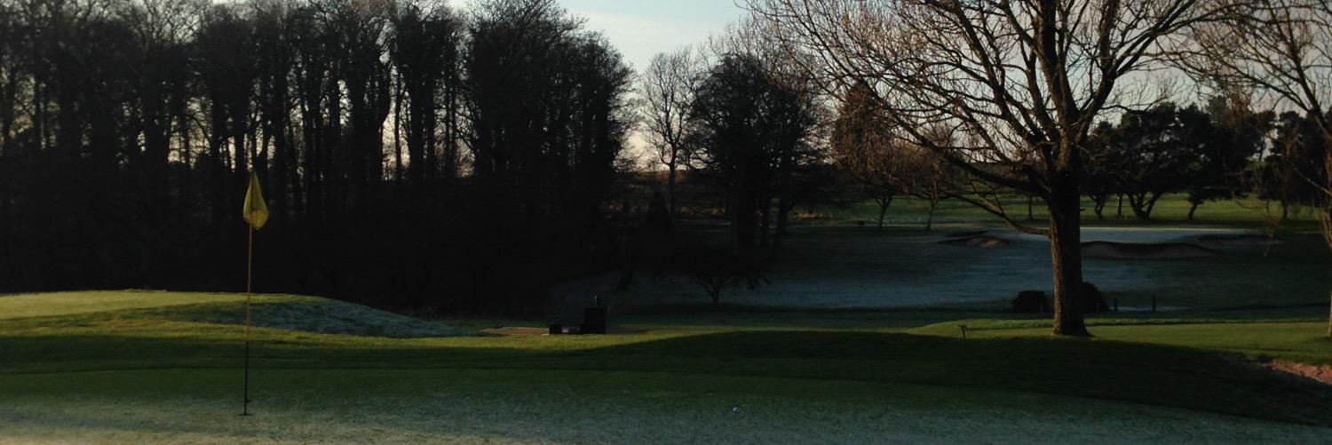 James Mcmullen banner