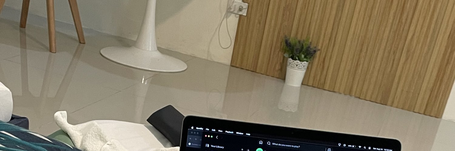 itsplintess's profile banner image