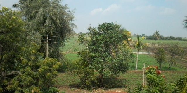 Akshay_5487's profile banner image