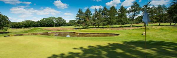 RadyrProShop Profile Banner