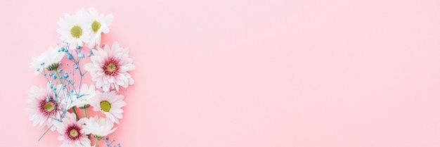 Bailey_Woloshyn's profile banner image