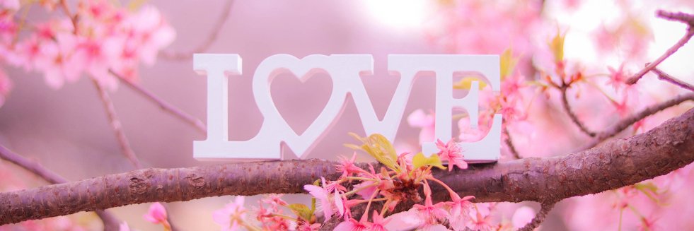 rainrain0123's profile banner image