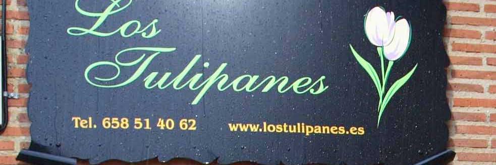 CRLosTulipanes's profile banner image