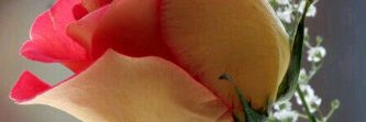 YmdDe's profile banner image