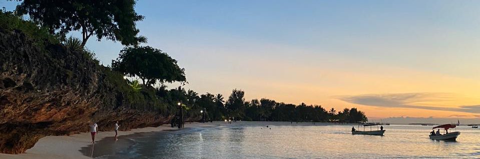 davilatorres_'s profile banner image