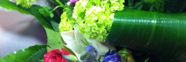 dorris04 Profile Banner