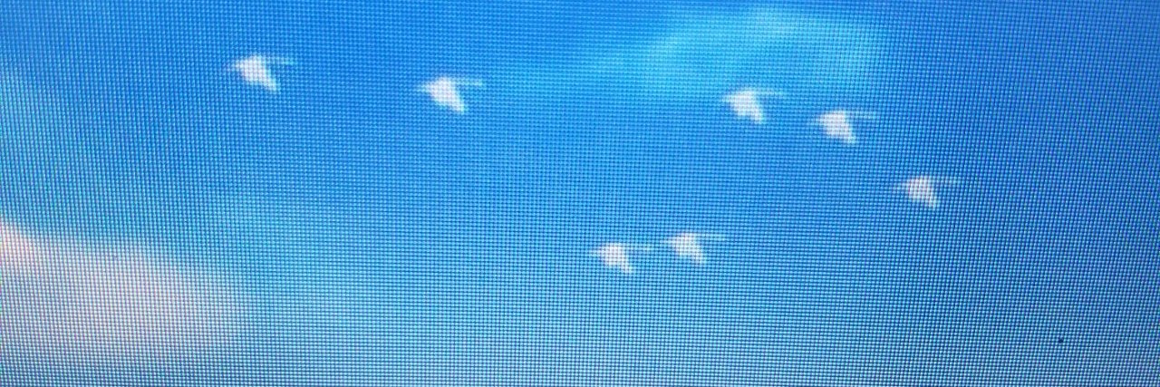 Donald Levine banner