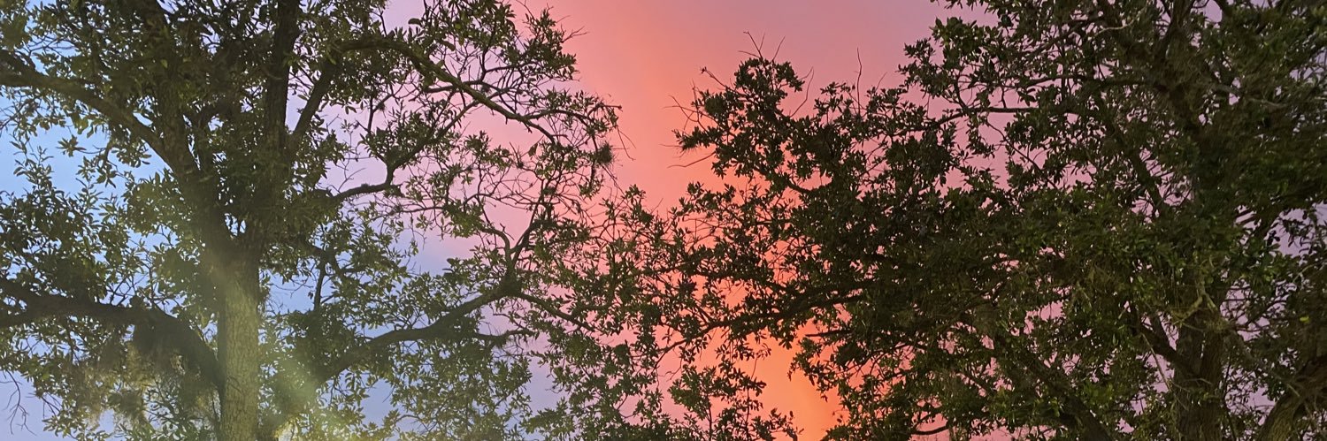 forever_stina's profile banner image