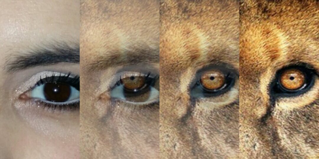 mavirip's profile banner image