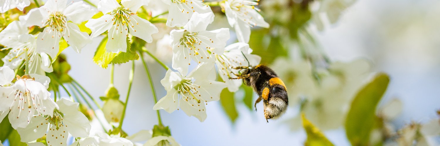 SLU Partnerskap Alnarp banner