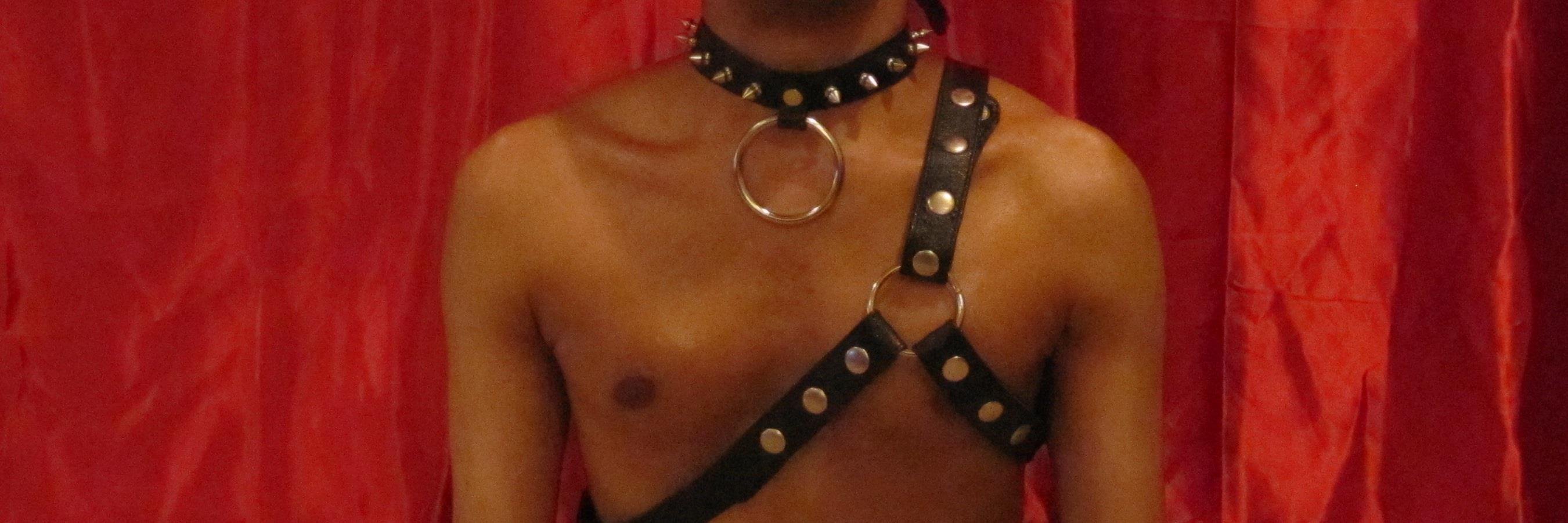 GregoryHanesXXX banner