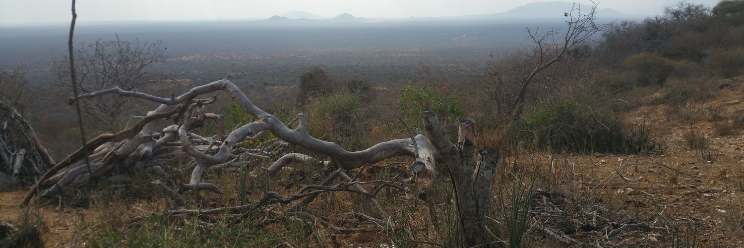 Real_Maghanga's profile banner image