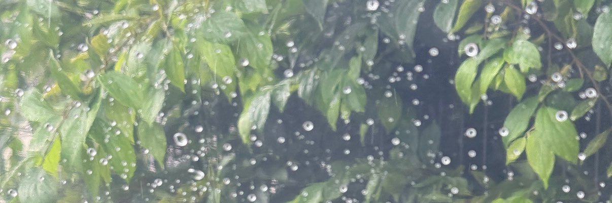oe4k3's profile banner image