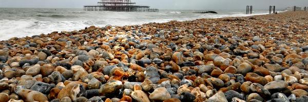 francescabright Profile Banner