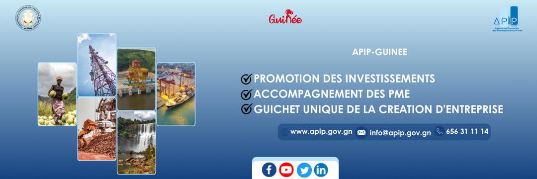 APIP Guinée banner