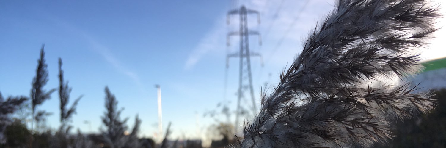 Findingnature1's profile banner image