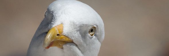 Taking_the_Mike's profile banner image