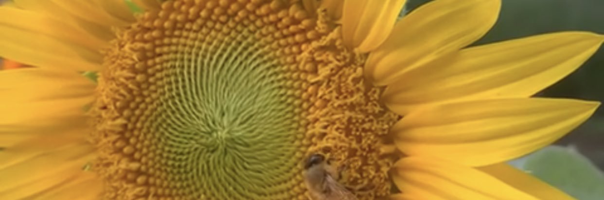Thoughtful2030's profile banner image