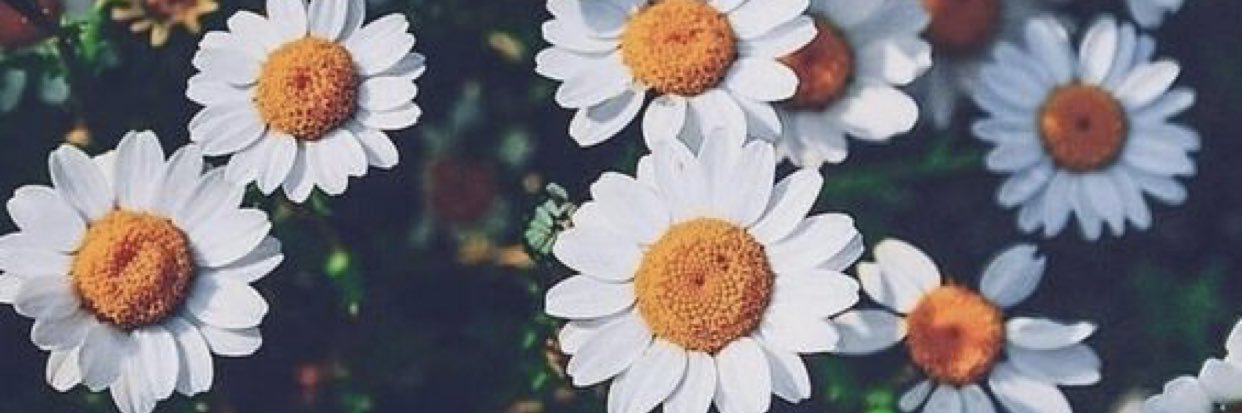 hellenlockhart's profile banner image