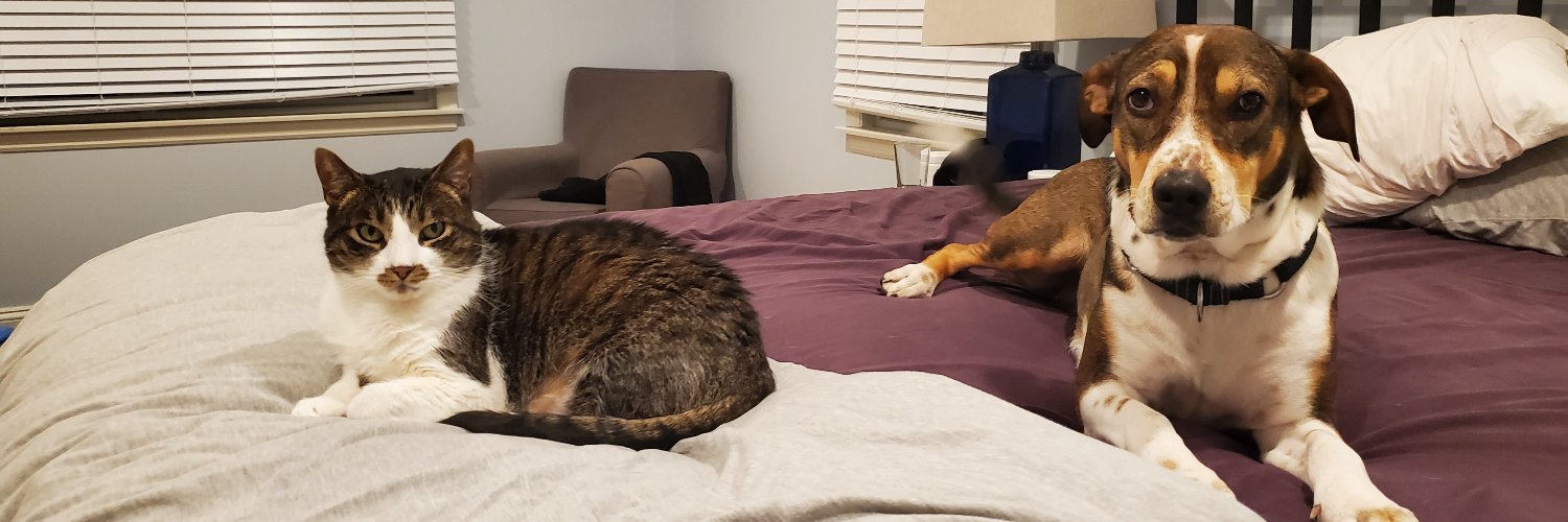 andrewschaw's profile banner image