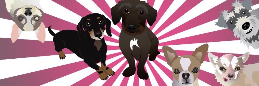 WeaselShop's profile banner image