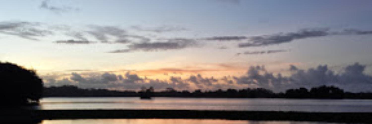 AgathaCastillo's profile banner image