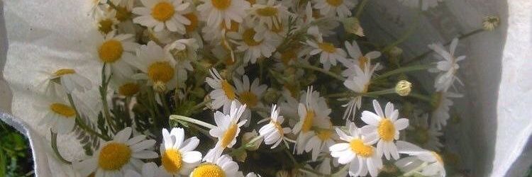 NotCalways's profile banner image