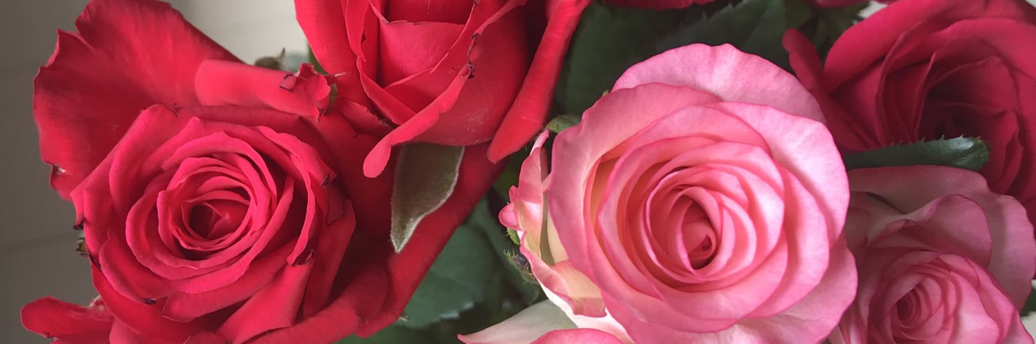 mtmtmtmtt's profile banner image