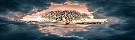 ✴ السراب ✴ banner