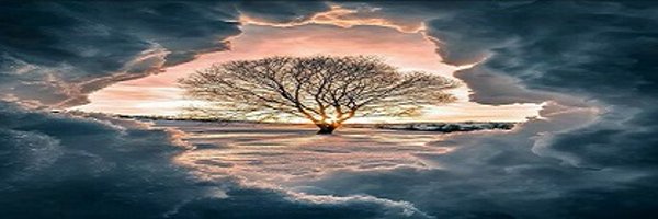 goouot7 Profile Banner