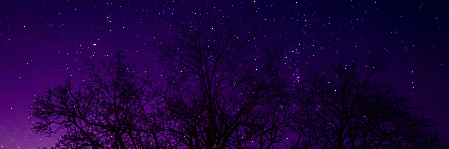 Andrei_Flo's profile banner image