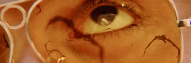 PatullyPortman's profile banner image