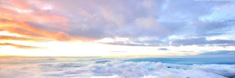Mists_love's profile banner image