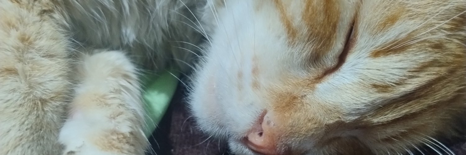 RodrigoCervant's profile banner image
