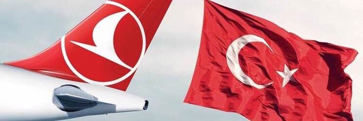ali_aykol's profile banner image