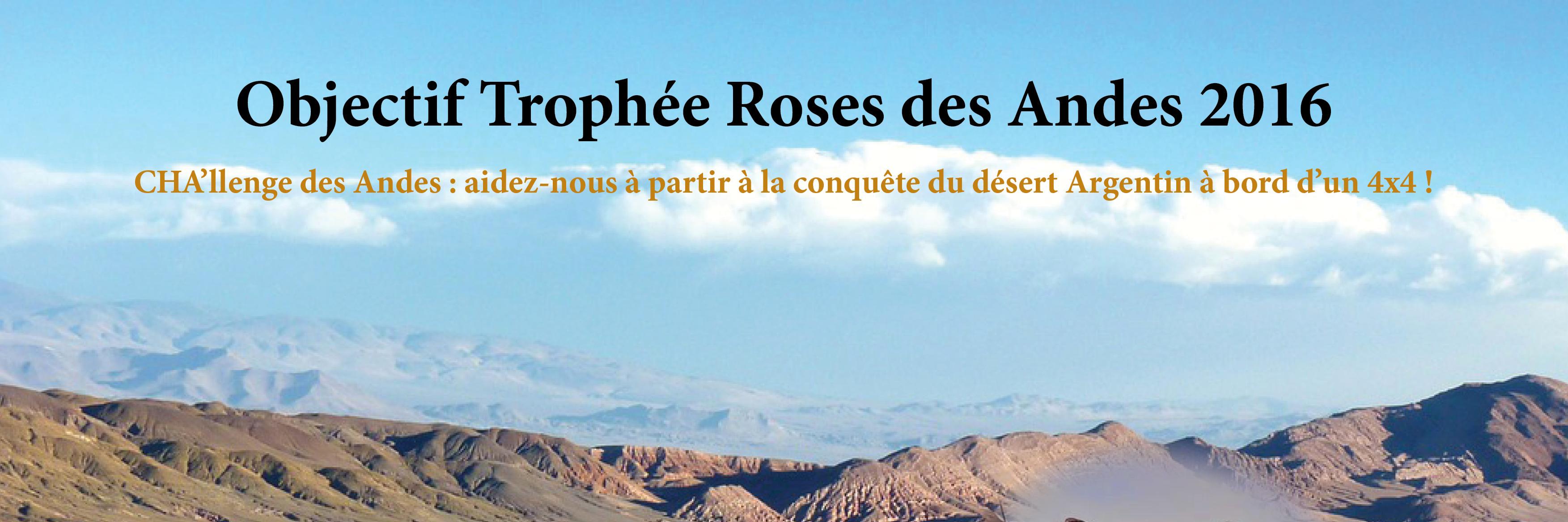 chadesandes's profile banner image