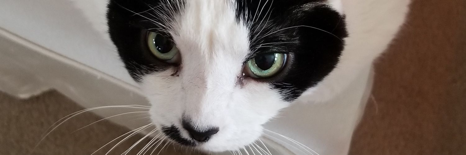 CharonisDavid's profile banner image