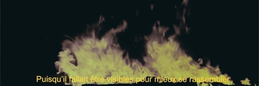 clementinelab's profile banner image