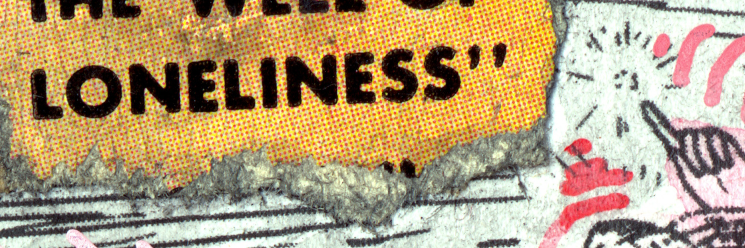 birdnaughts's profile banner image