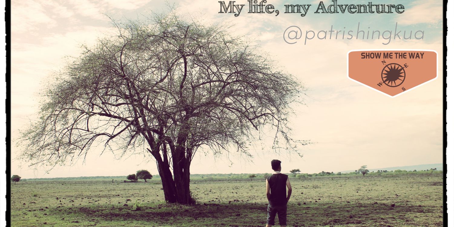 PHingkua's profile banner image
