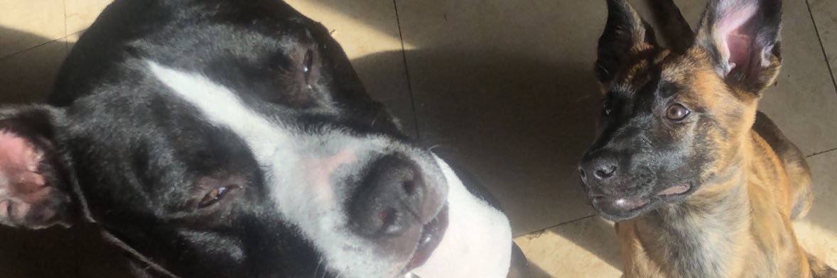 Jonathan De Jesus10 banner