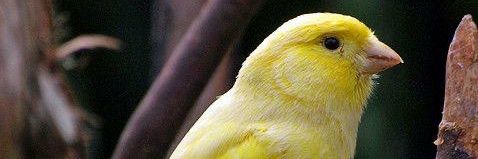 BesirDemir3's profile banner image